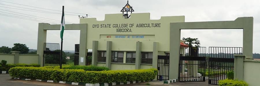 Oyo Agric College Assures Graduates on NYSC Mobilisation