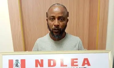 The National Drug Law Enforcement Agency (NDLEA) has apprehended Nollywood actor and filmmaker Emeka Emmanuel Mbadiwe alongside his colleague