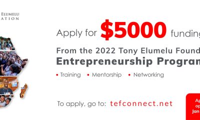 The Tony Elumelu Foundation (TEF) Entrepreneurship Programme is a landmark initiative designed to empower African entrepreneurs, foster economic development,