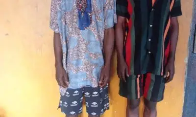 The Ogun State Police Command has apprehended two suspects, Akintoye Waris and Ajayi Yusuf, for allegedly stealing and slaughtering a Savannah he-goa