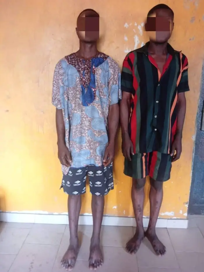 The Ogun State Police Command has apprehended two suspects, Akintoye Waris and Ajayi Yusuf, for allegedly stealing and slaughtering a Savannah he-goa