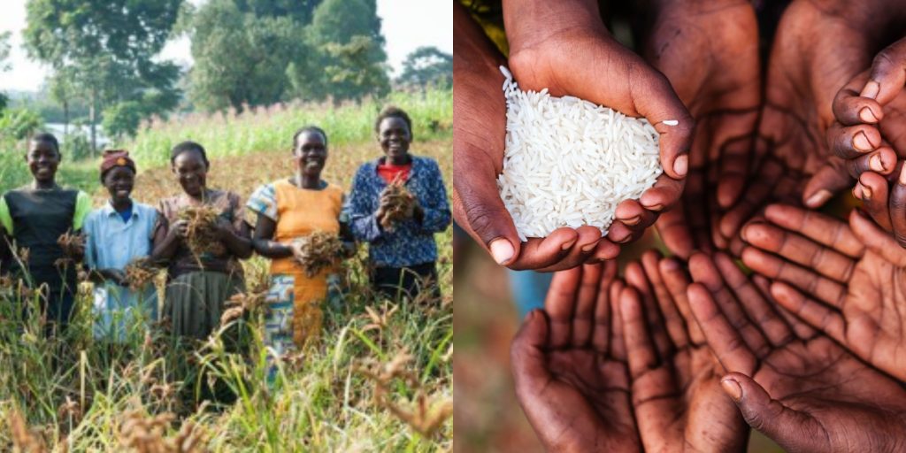 NYSC corps members participating in agricultural training during World Food Day 2025 in Nigeria